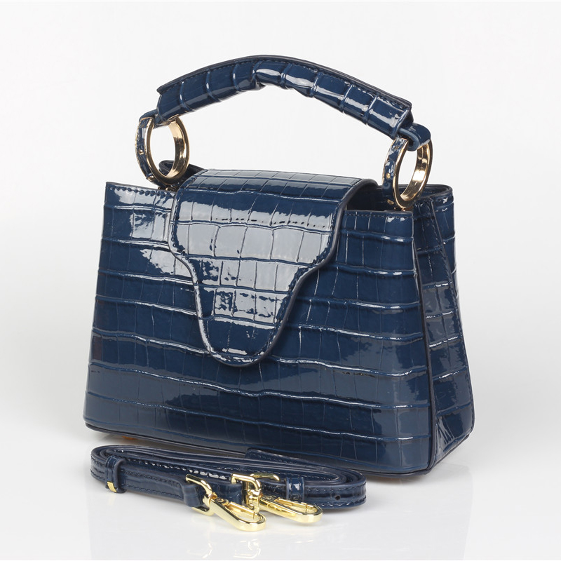 TOPHIGH Luxury Design Handbags - Luxury Bags Sale 리뷰 및 가격